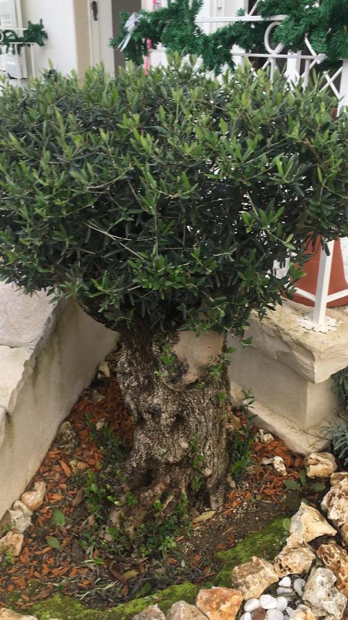 Il Casale Di Gio Bed and Breakfast Napoli Eksteriør billede